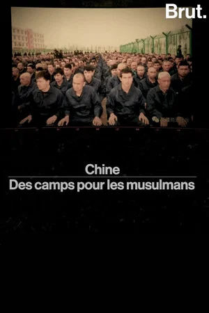 Постер: chine——des camps pour les musulmans