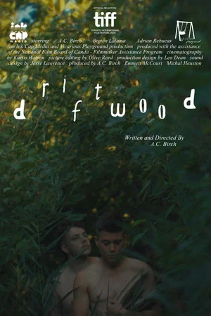 Постер: Driftwood