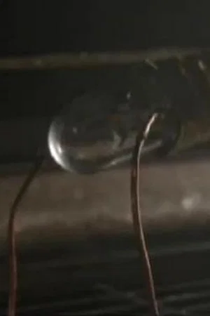 Постер: The Origins of Electricity