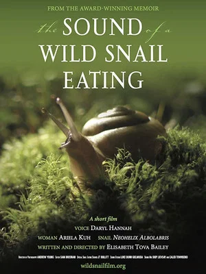 Постер: The Sound of a Wild Snail Eating