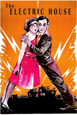 Постер: Электрический дом