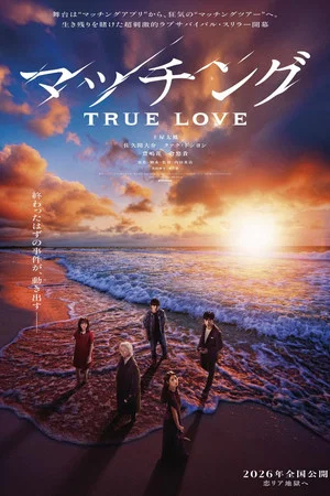 Постер: Matched: True Love