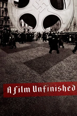 Постер: A Film Unfinished