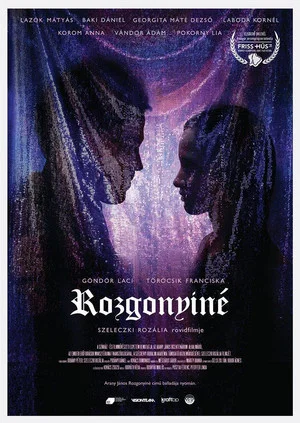 Постер: Rozgonyiné
