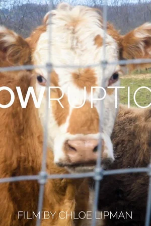 Постер: Cowruption