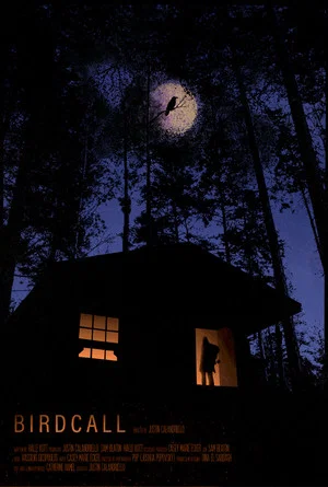 Постер: Birdcall