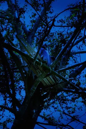 Постер: Forest Spirit