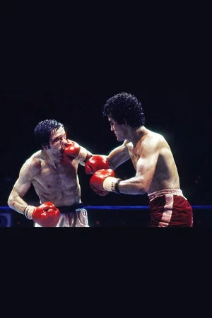 Постер: Salvador Sanchez vs. Pat Cowdell