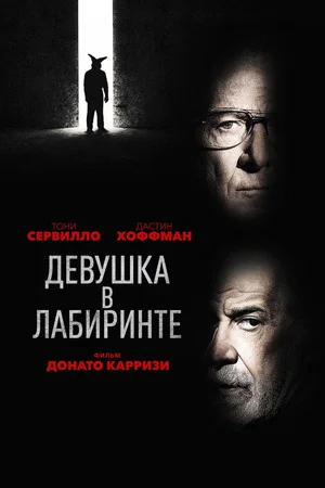 Постер: Девушка в лабиринте