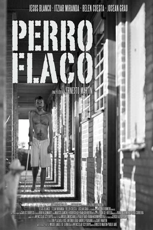 Постер: Perro flaco