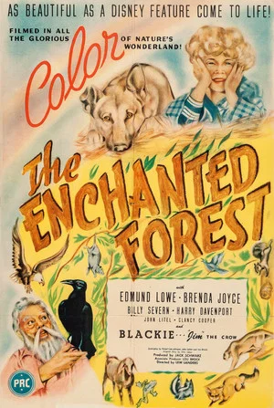 Постер: The Enchanted Forest