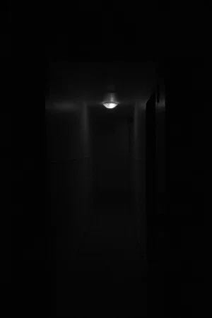 Постер: Eidolon