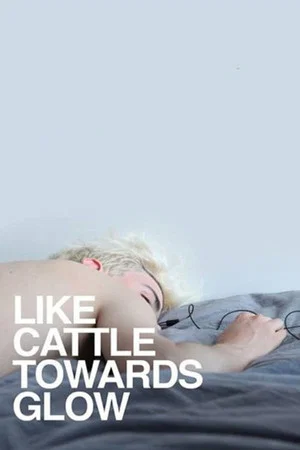 Постер: Like Cattle Towards Glow