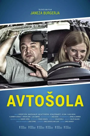 Постер: Driving School