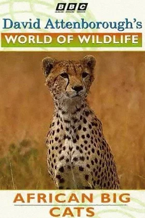 Постер: World of Wildlife: African Big Cats