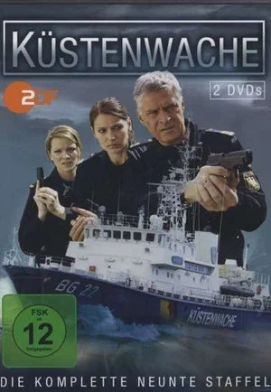 Постер: 9 сезон