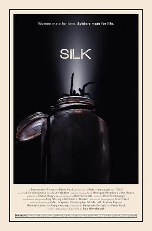 Постер: Silk