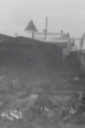 Постер: The Great Fire Ruins, Coney Island