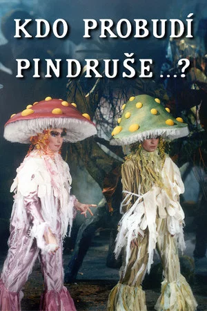 Постер: Kdo probudí Pindruše...?