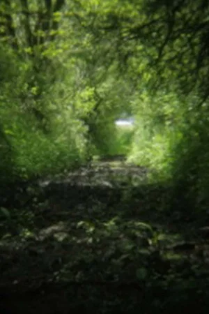 Постер: On Location