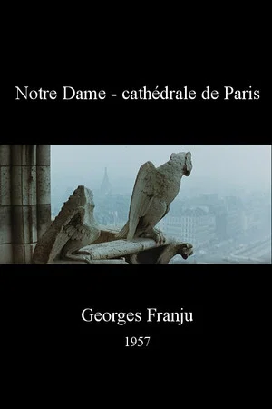 Постер: Notre Dame, cathédrale de Paris