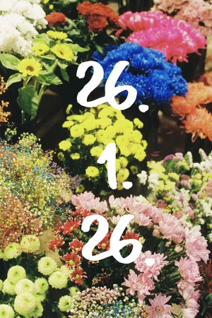 Постер: 26.1.26