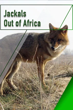 Постер: Jackals - Out of Africa