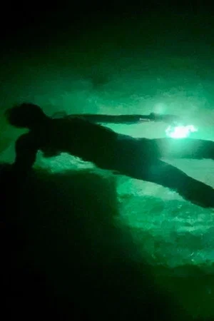 Постер: Night Snorkeling