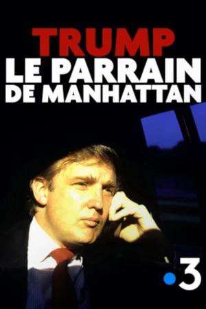 Постер: Trump, le parrain de Manhattan