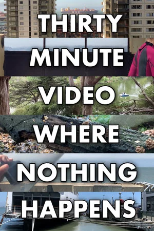 Постер: Thirty Minute Video Where Nothing Happens
