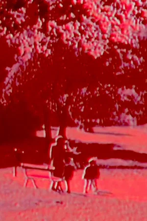 Постер: Branches