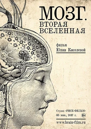Постер: Мозг. Вторая Вселенная