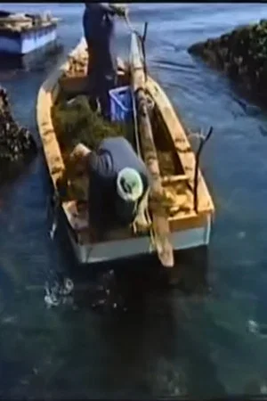 Постер: Fishing Moon