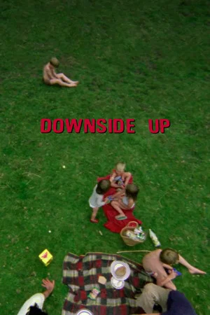 Постер: Downside Up