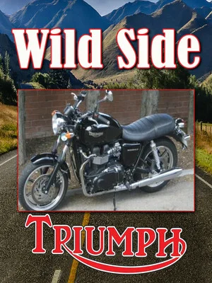 Постер: Ride On The Wild Side: Triumph