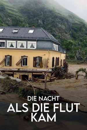 Постер: Die Nacht, als die Flut kam - Protokoll einer Klimakatastrophe