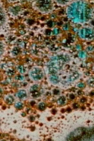 Постер: The Galilean Satellites- Callisto