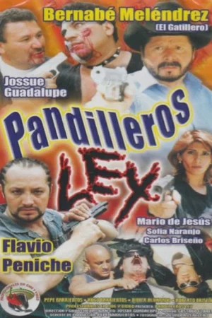 Постер: Pandilleros Ley