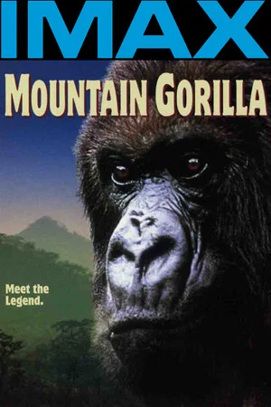 Постер: Mountain Gorilla