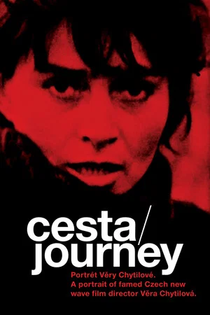 Постер: Journey: Portrait of Věra Chytilová