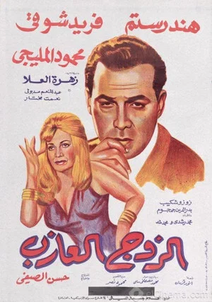 Постер: The Single Husband