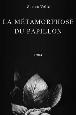 Постер: Metamorphosis of a Butterfly