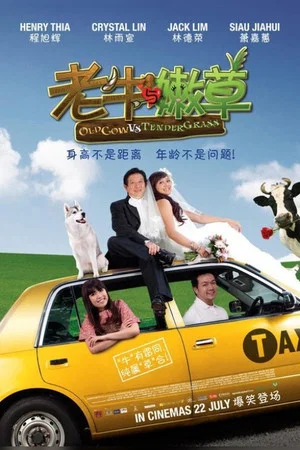 Постер: Old Cow Vs Tender Grass