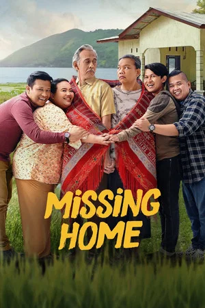 Постер: Missing Home