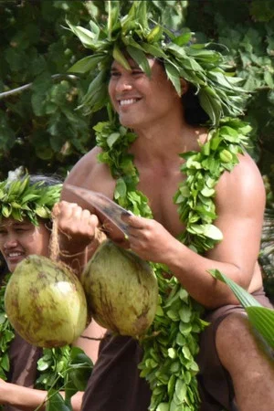 Постер: Cook Islands Maori Medicine