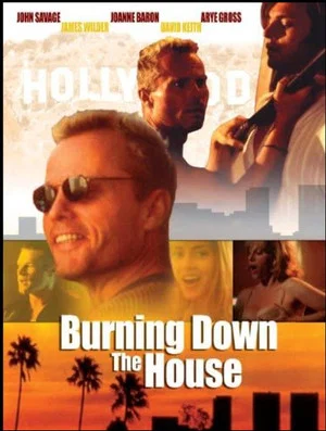 Постер: Burning Down the House