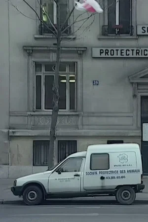 Постер: We Are All Cockroaches