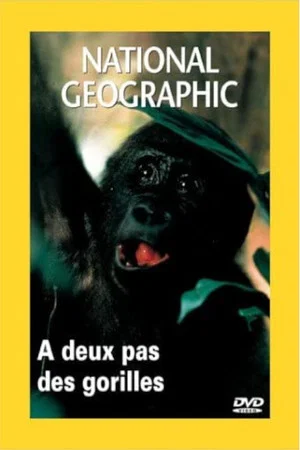 Постер: Living With Gorillas