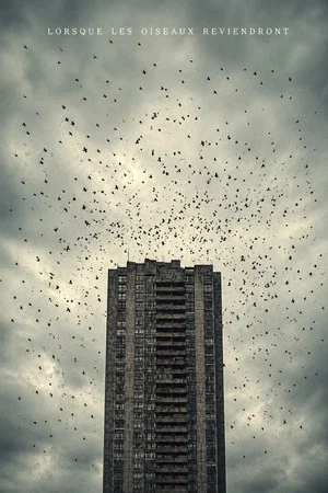 Постер: When The Birds Return