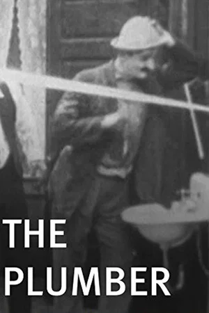 Постер: The Plumber
